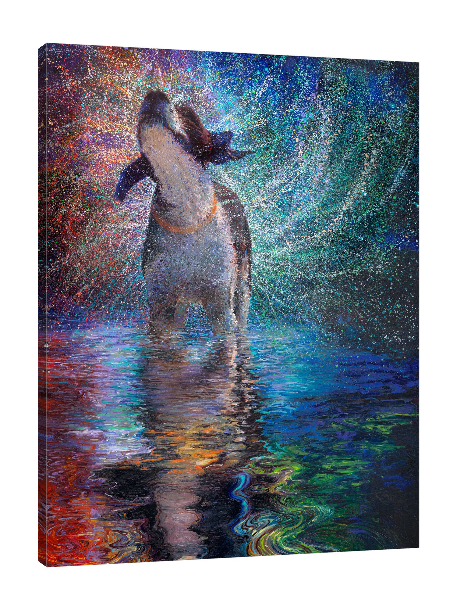 Iris-Scott,Modern & Contemporary,Animals,Impressionism,surreal,finger paint,animal,dog,shaking dog,wet,splatter,water,