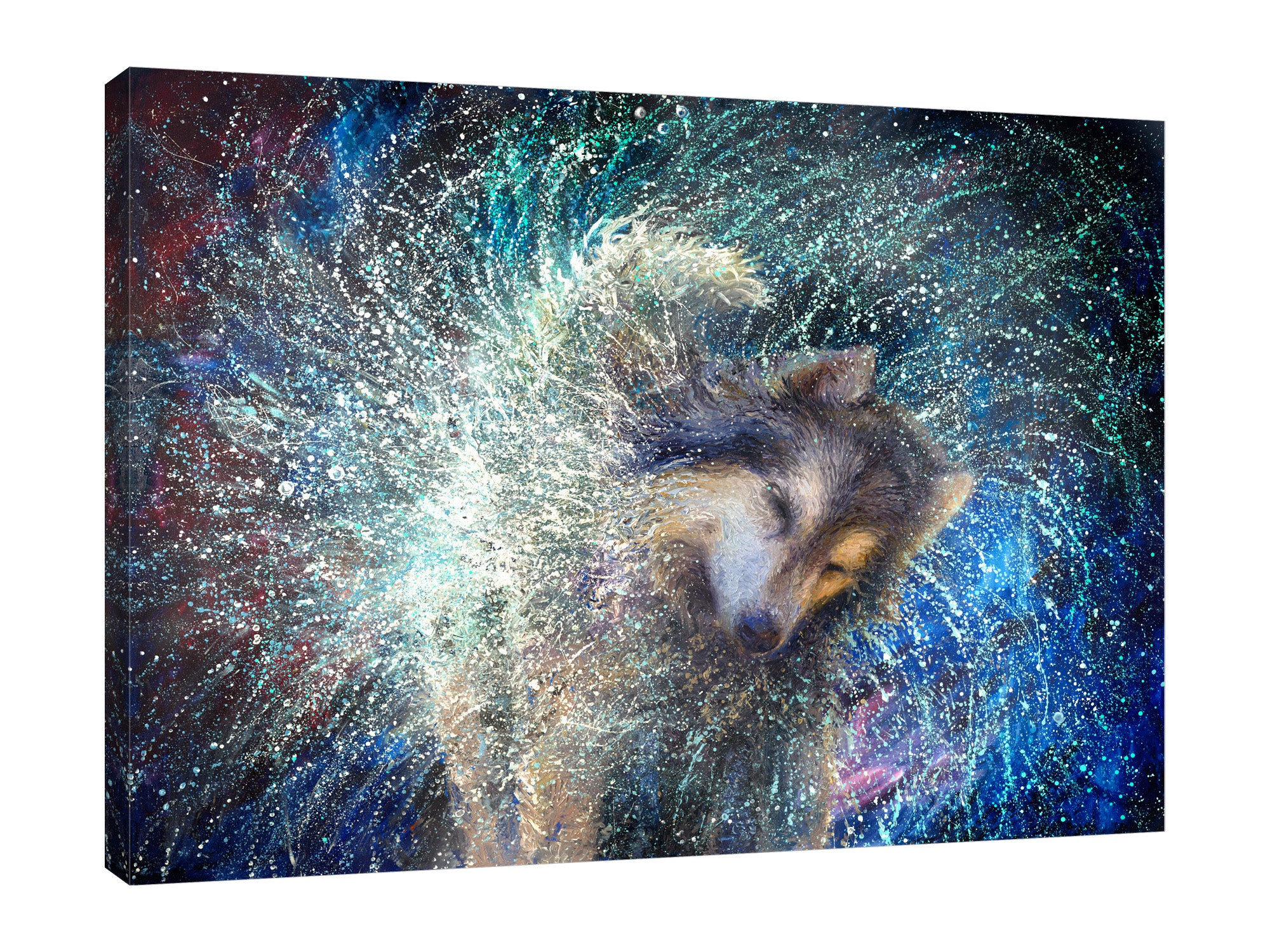 Iris-Scott,Modern & Contemporary,Animals,Impressionism,surreal,finger paint,animal,dog,shaking dog,wet,splatter,
