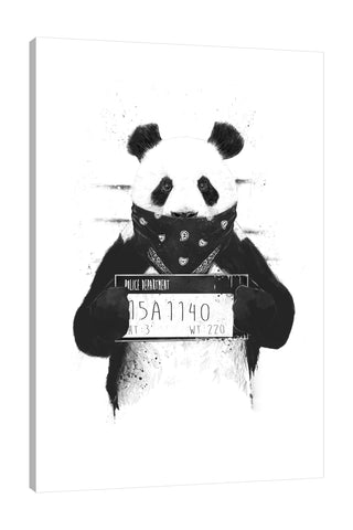 Balazs-Solti,Modern & Contemporary,Animals,animals,animal,panda,black and white,pandas,mugshot,mugshots,numbers,number,sign,Tan White,Black,Mist Gray,Red,White
