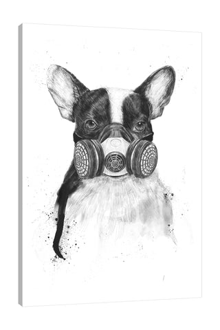 Balazs-Solti,Modern & Contemporary,Animals,animals,animal,pug,pugs,black and white,mask,masks,face mask,face masks,splatters,splatter,Mist Gray,Tan White,Charcoal Gray,Gray,White