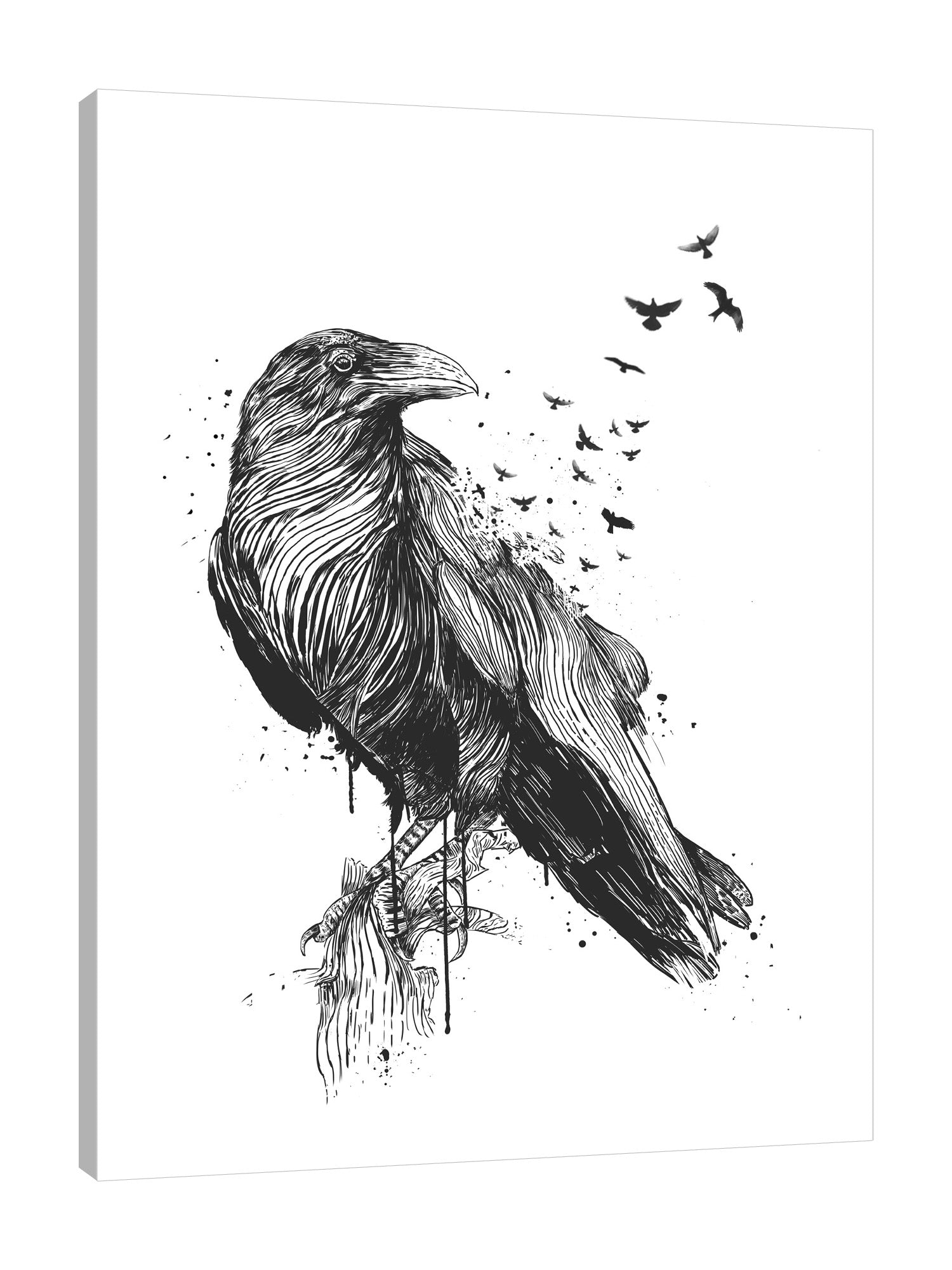 Balazs-Solti,Modern & Contemporary,Animals,animals,animal,bird,birds,crow,crows,paint drips,paint drip,drips,drip,black and white,splatters,splatter,Charcoal Gray,Tan White,White
