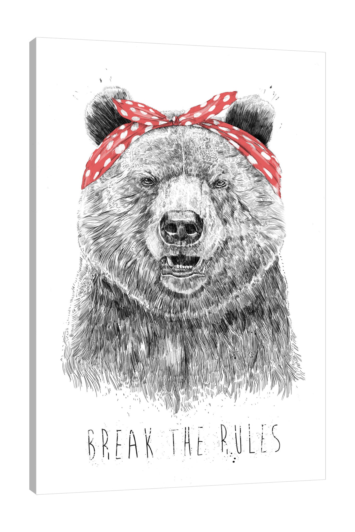 Balazs-Solti,Modern & Contemporary,Animals,Entertainment,animals,animal,bears,bear,words and phrases,words,break the rules,rules,break,headband,polka dots,dots,polka dot,black and white,Red,Jade Green,Gray,White,Salmon Pink
