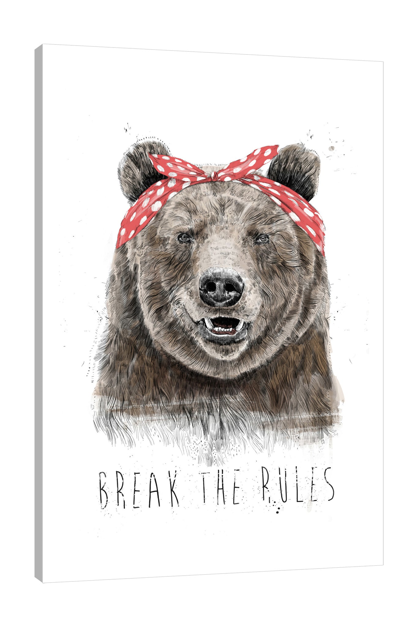 Balazs-Solti,Modern & Contemporary,Animals,Entertainment,animals,animal,bears,bear,words and phrases,words,break the rules,rules,break,headband,polka dots,dots,polka dot,Red,Gray,Charcoal Gray,White