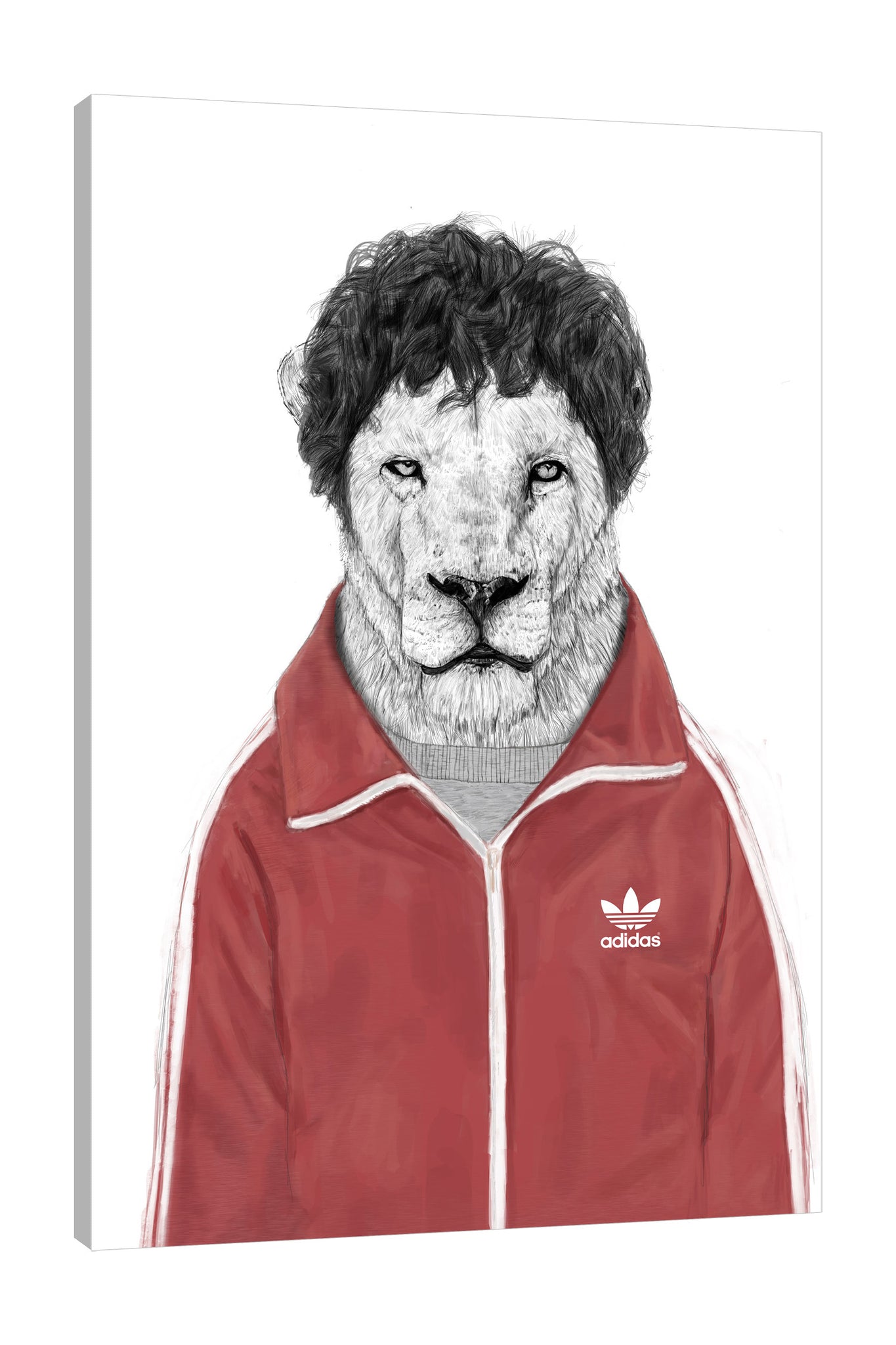Balazs-Solti,Modern & Contemporary,Animals,Abstract,lion,lions,animals,animal,jacket,jackets,adidas,words,logo,,Purple,Mist Gray,Coral Pink,White