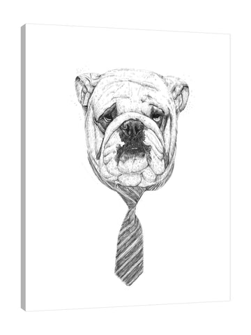 Balazs-Solti,Modern & Contemporary,Animals,Fashion,dogs,dog,necktie,neckties,ties,tie,animals,animal,bulldog,bulldogs,wrinkly,Tan Orange,Gray