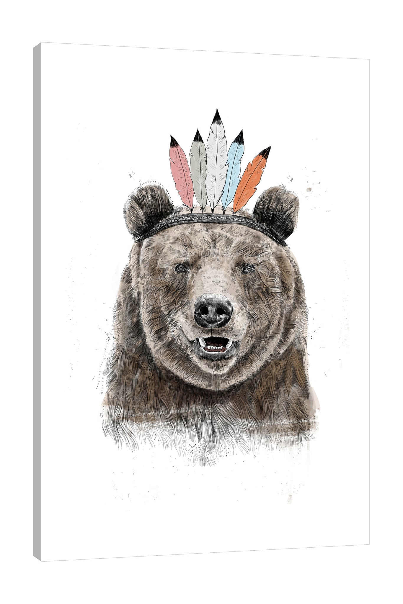 Balazs-Solti,Modern & Contemporary,Animals,animals,animal,bear,bears,feathers,feather,brown,strokes,stroke,Charcoal Gray,Salmon Pink,White,Gray