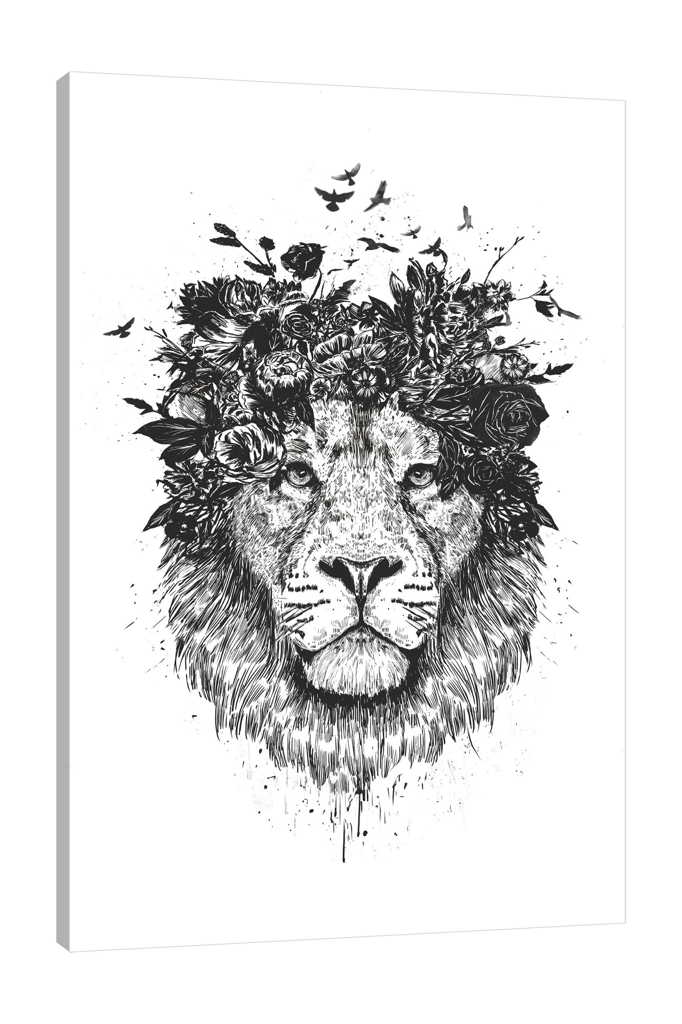 Balazs-Solti,Modern & Contemporary,Animals,Floral & Botanical,animals,animal,lion,lions,floral,florals,flowers,flower,black and white,birds,bird,paint drips,paint drip,Red,Charcoal Gray,Tan White,Mist Gray