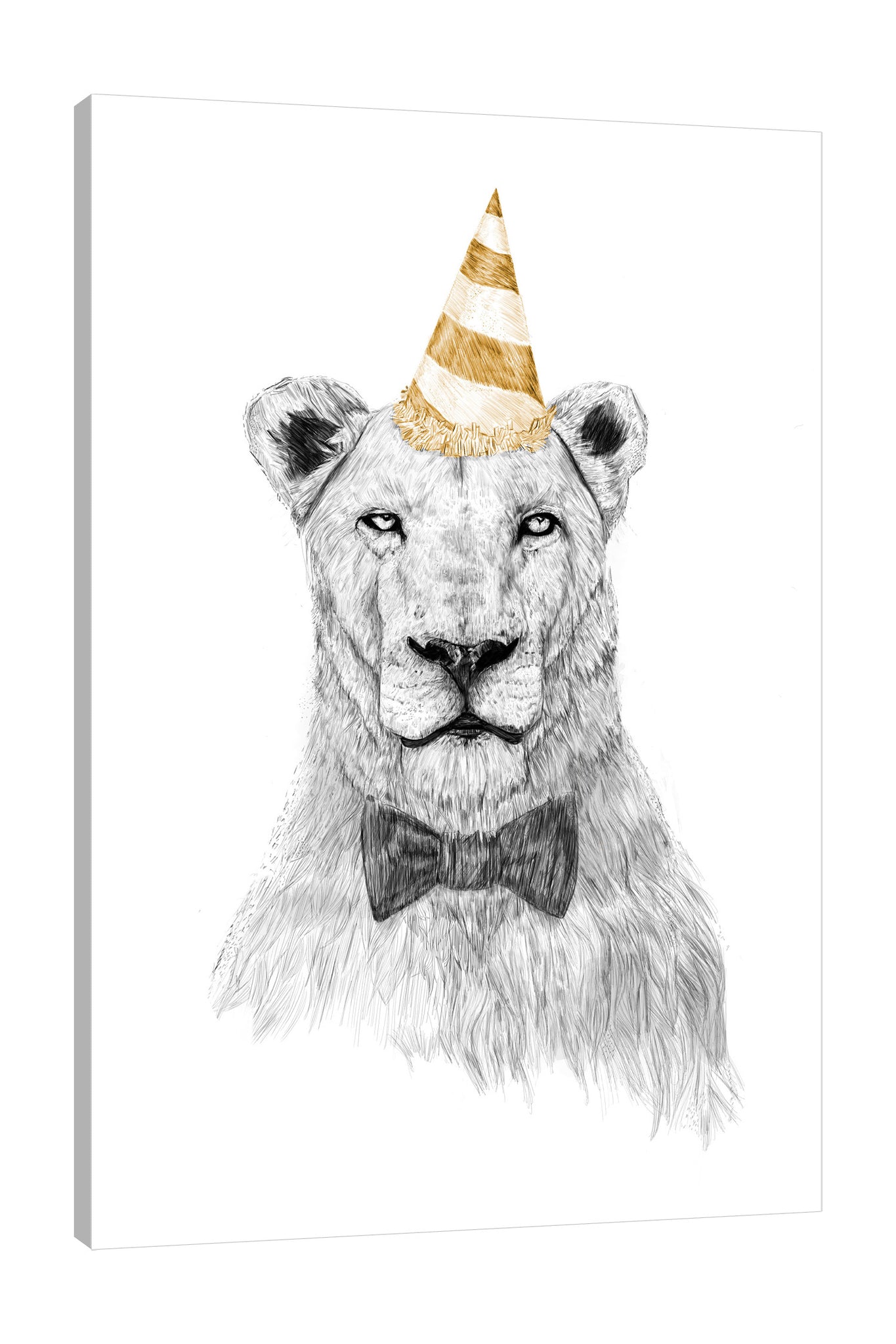 Balazs-Solti,Modern & Contemporary,Animals,Entertainment,animals,animal,lion,lions,bow,bows,party hat,party hats,parties,lines,strokes,line,stroke,black and white,yellow,Blue,White