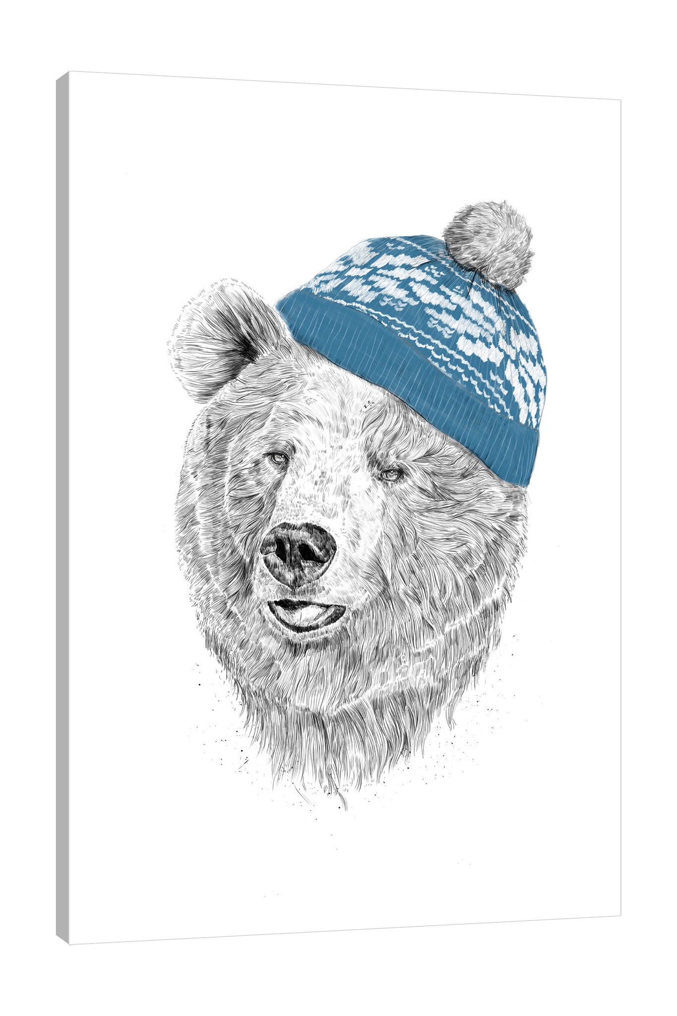 Balazs-Solti,Modern & Contemporary,Animals,animals,animal,bears,bear,hat,hats,winter,stroke,blue,White,Gray