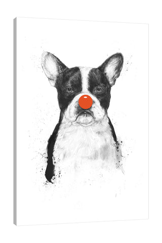 Balazs-Solti,Modern & Contemporary,Animals,Entertainment,animals,animal,dog,dogs,clown,clown nose,red ball,red balls,red,spots,spot,Red,Gray,Teal Blue,White