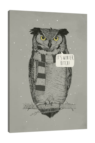 Balazs-Solti,Modern & Contemporary,Animals,Humor,animals,animal,owl,owls,winter,its winter,words,gray,grey,white,black,snow,snowy,Red,Gray,Purple,Blue,Black