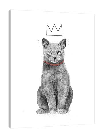 Balazs-Solti,Modern & Contemporary,Animals,animals,animal,cats,cat,crown,crowns,collar,collars,strokes,stroke,feline,felines,Mist Gray,Gray,Coral Pink