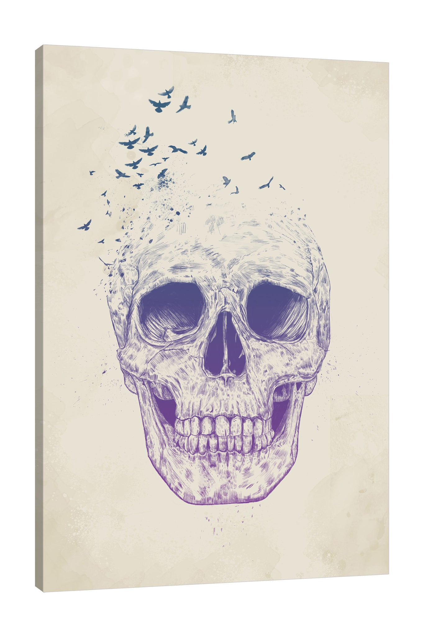 Balazs-Solti,Modern & Contemporary,Animals,People,skulls,skull,bones,bone,people,animals,animal,birds,bird,cream,beige,Mist Gray,White,Gray,Lime Green,Blue,Red,Purple,Charcoal Gray