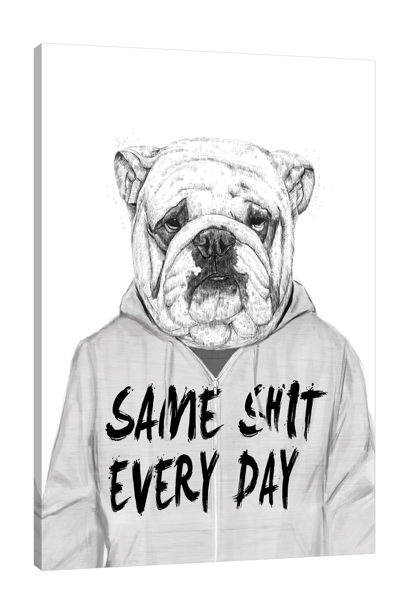 Balazs-Solti,Modern & Contemporary,Animals,animals,animal,dogs,dog,words,word,same shit,same shit every day,jacket,gray,Red,Gray,White