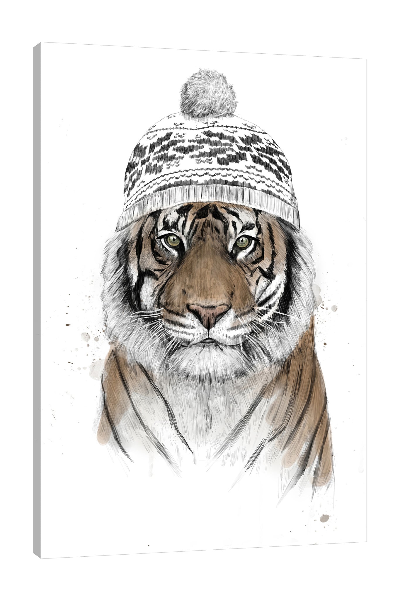Balazs-Solti,Modern & Contemporary,Animals,animals,animal,tiger,tigers,siberian tiger,siberian tigers,hats,hat,winter,orange,black,white,Red,Purple,Tan Orange,Gray