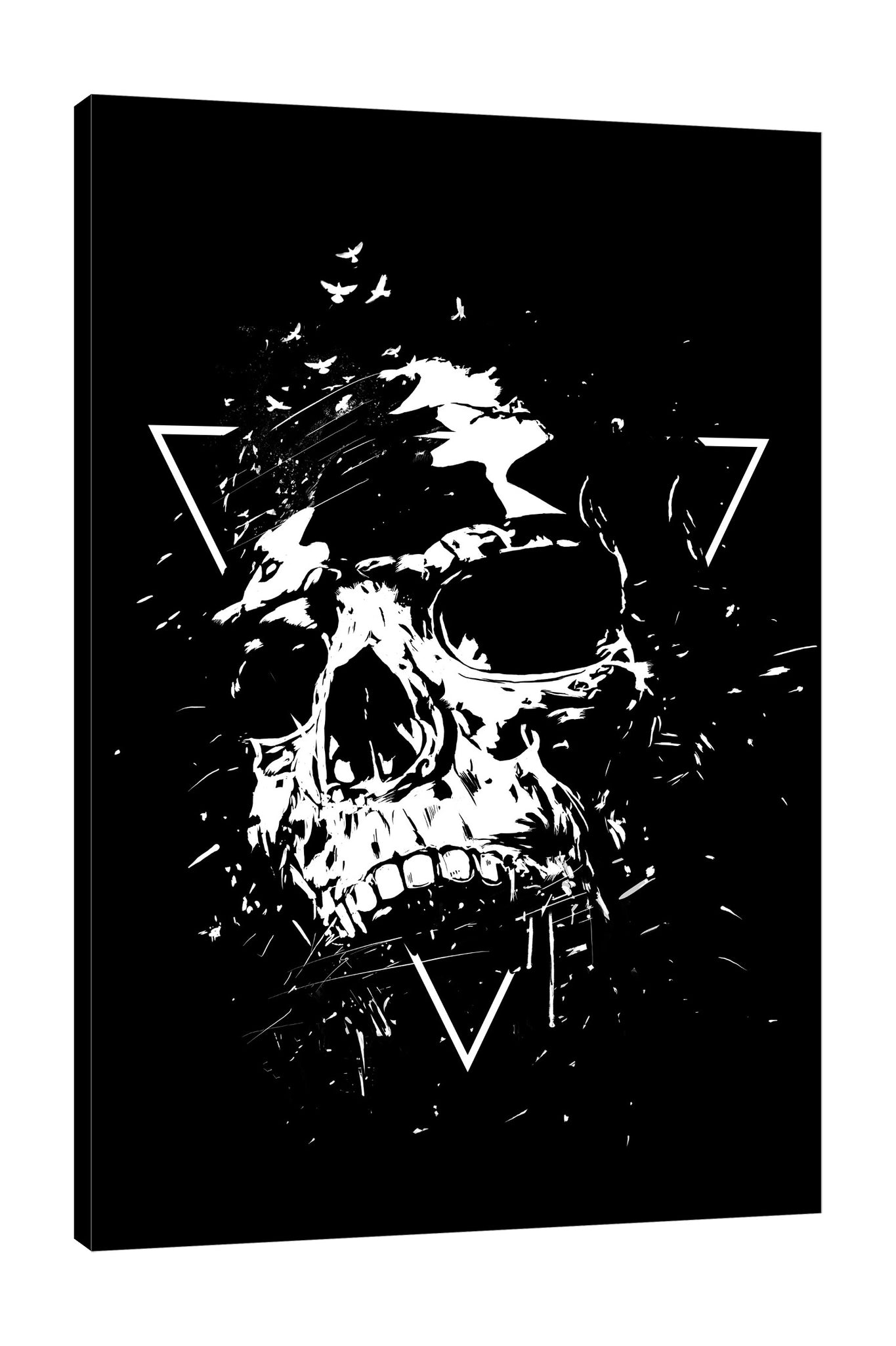 Skull X (BW)