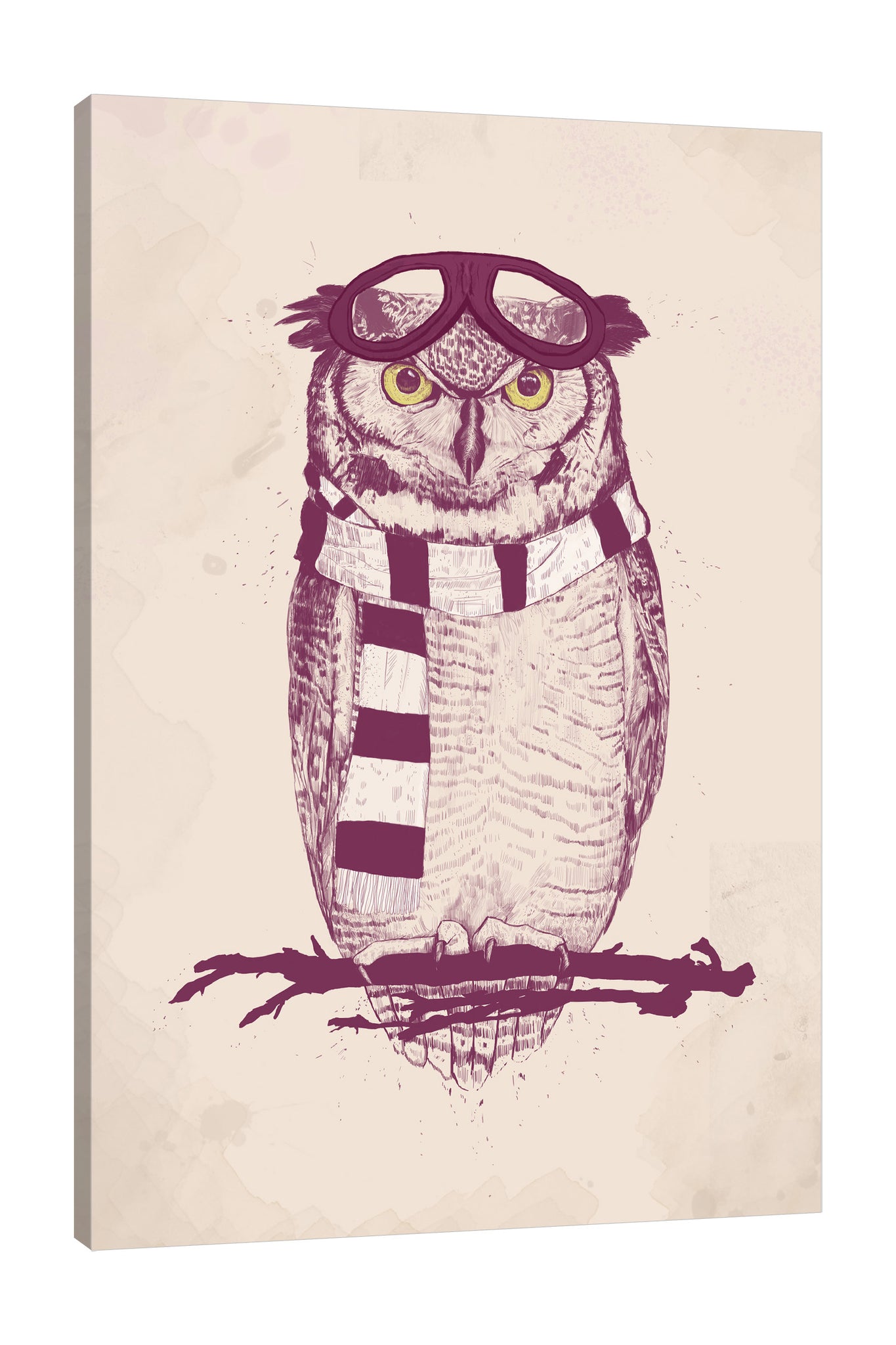 Balazs-Solti,Modern & Contemporary,Animals,animals,animal,owl,owls,aviator,aviators,stripes,stripe,cream,beige,black,Mist Gray,White,Blue,Pale Green,Gray,Steel Blue