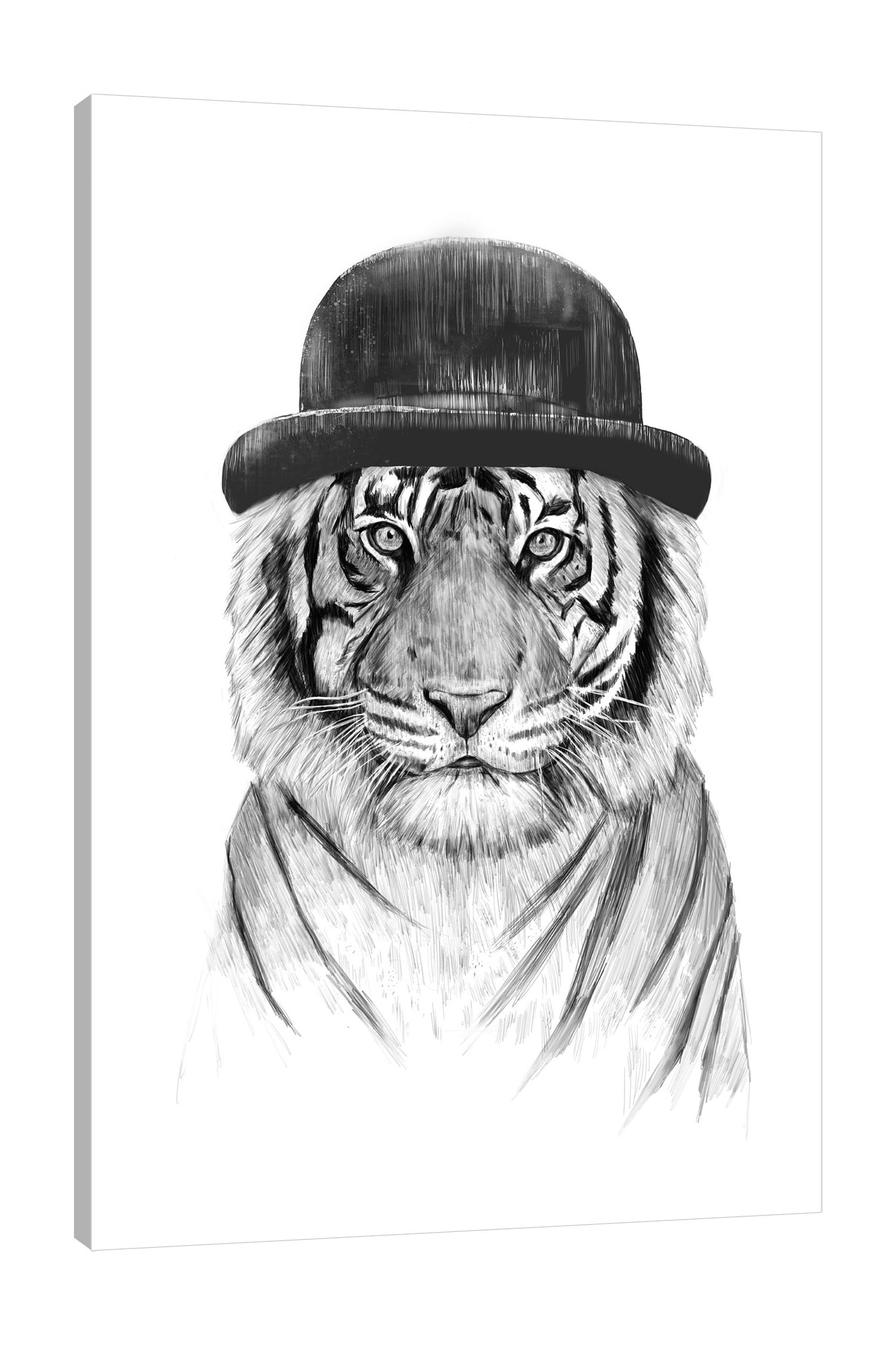 Balazs-Solti,Modern & Contemporary,Animals,animals,animal,tigers,tiger,hat,hats,pattern,patterns,welcome to the jungle,safari,big cats,big cat,Red,Mist Gray,Blue,Tan White