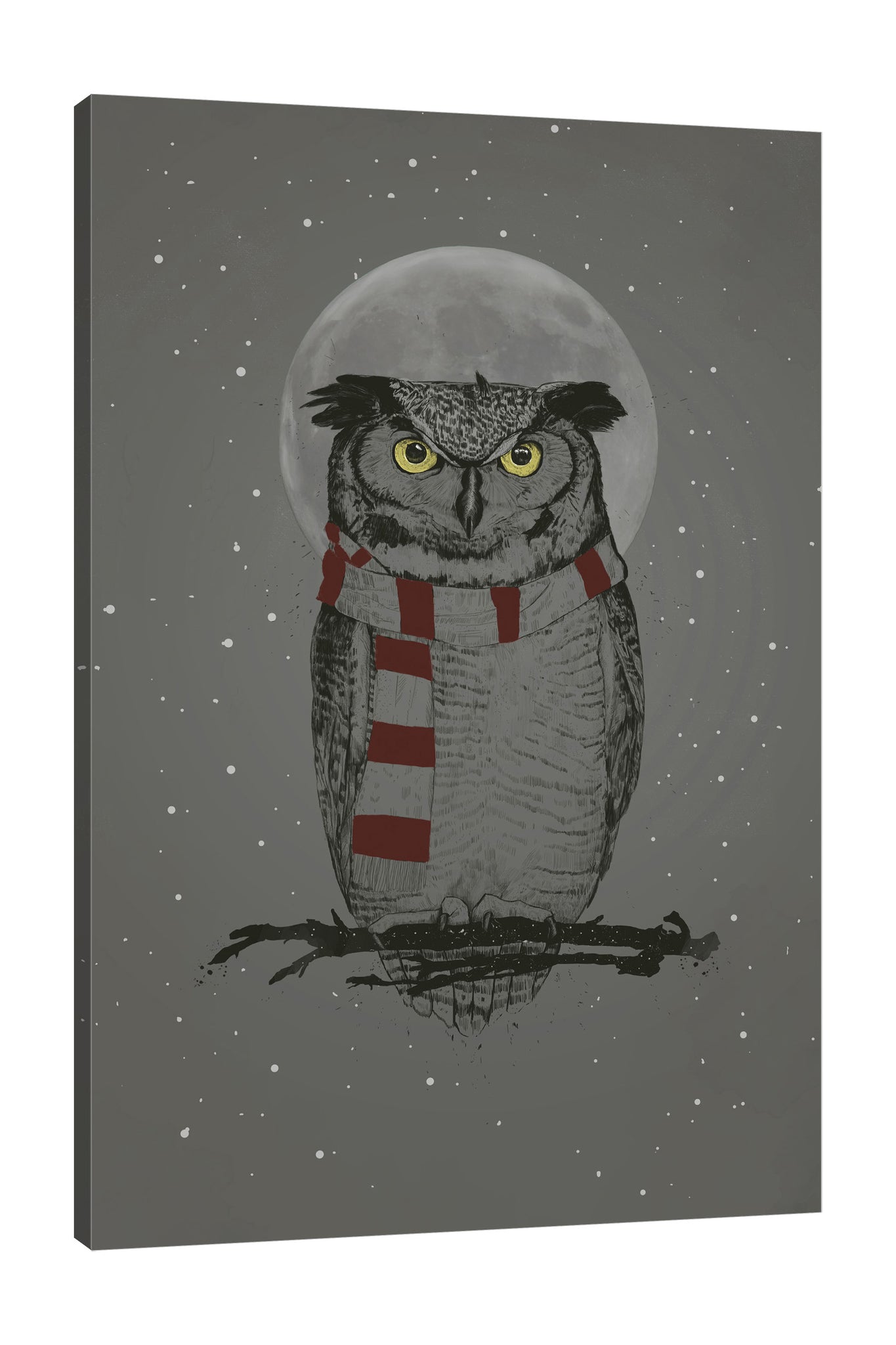 Balazs-Solti,Modern & Contemporary,Animals,animals,animal,gray,grey,black,moon,owl,owls,stars,star,moons,knits,knit,red,white,Charcoal Gray,White,Slate Gray,Black,Blue,Gray