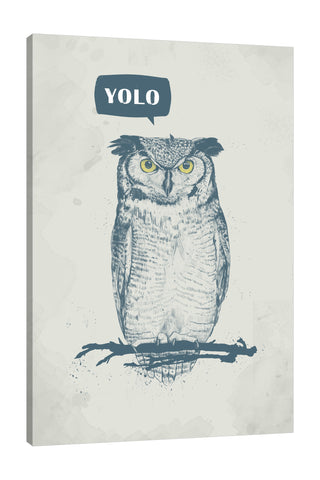 Balazs-Solti,Modern & Contemporary,Animals,animals,animal,owl,owls,yolo,words,blue,gray,grey,words and phrases,yellow,birds,bird,Rose Purple,Charcoal Gray,Red,Purple,Rose Orange,White,Gray