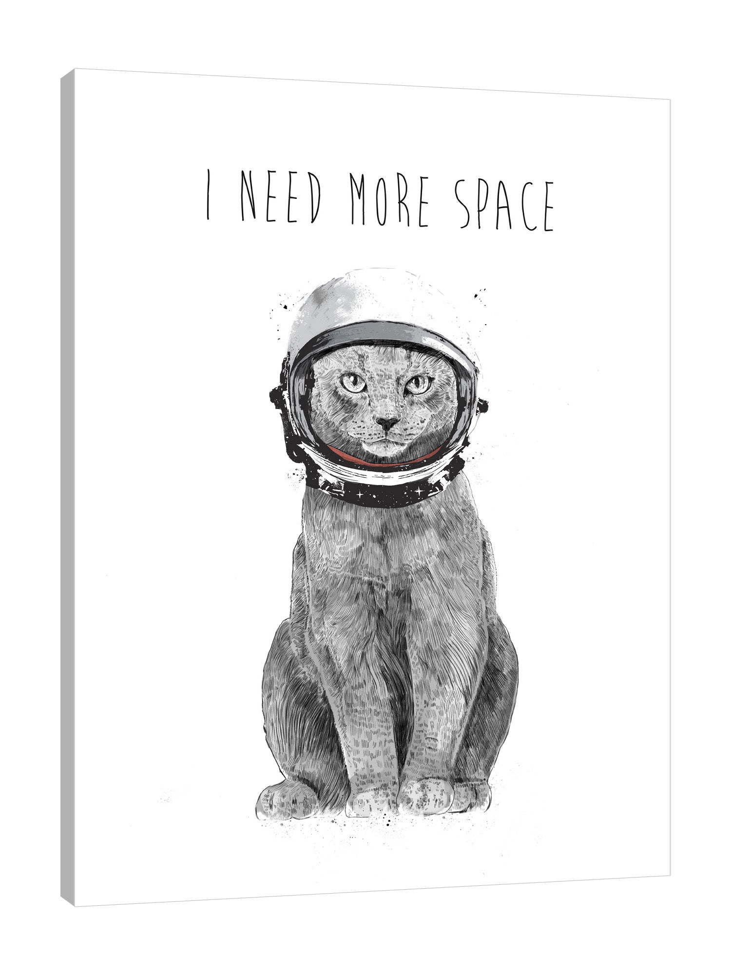 Balazs-Solti,Modern & Contemporary,Animals,Humor,animals,animal,cat,cats,strokes,stroke,helmet,helmets,feline,words and phrases,space,black and white,Green,Red,White