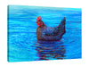 Iris-Scott,Horizontal,4X3,Coastal,Animals,Nautical & Beach,animals,animal,coastal,sea,seas,hen,hens,chicken,chickens,blue,water,Red,Teal Blue,Charcoal Gray,Blue,Black,Gray,Sea Green