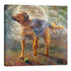 Shaking Shepherd