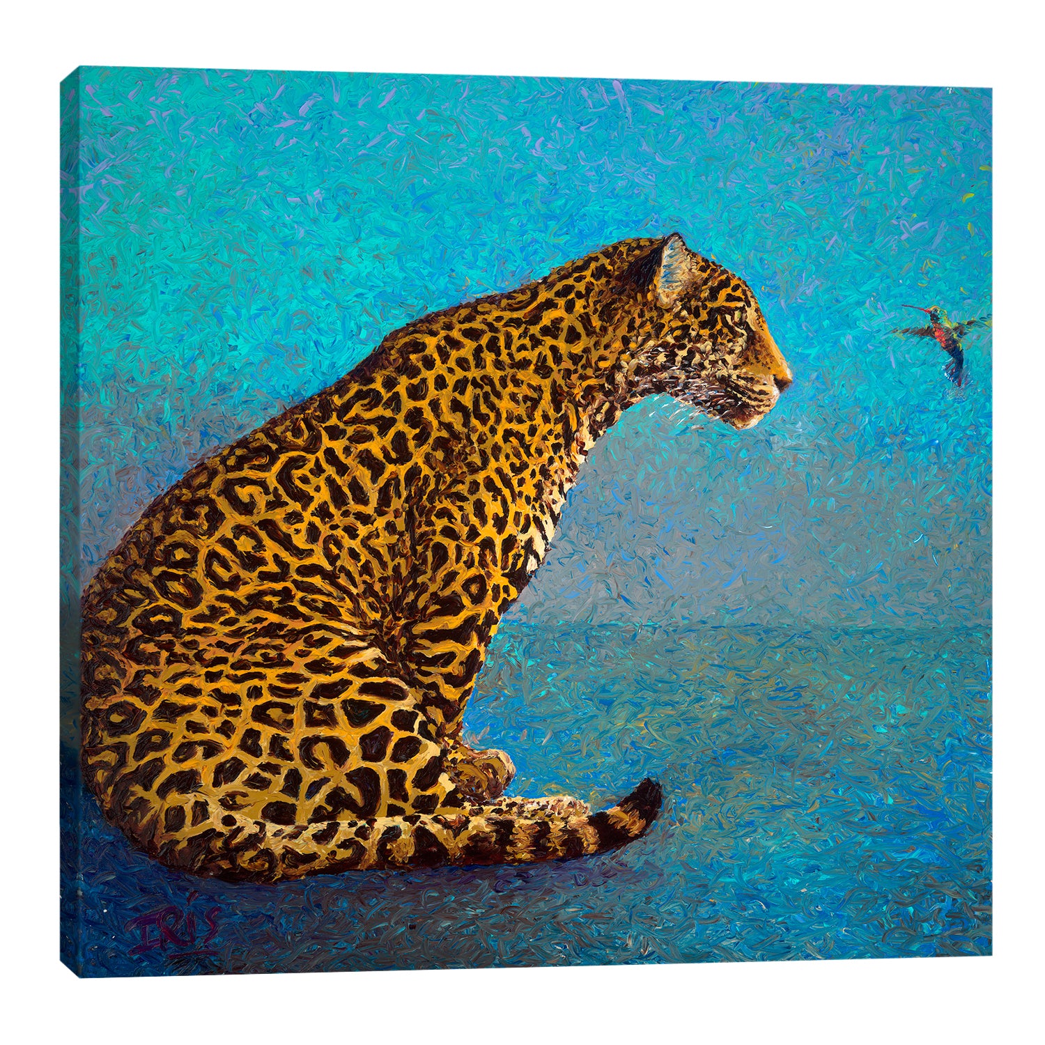 Iris-Scott,Modern & Contemporary,Animals,animals,animal,leopard,leopards,birds,bird,