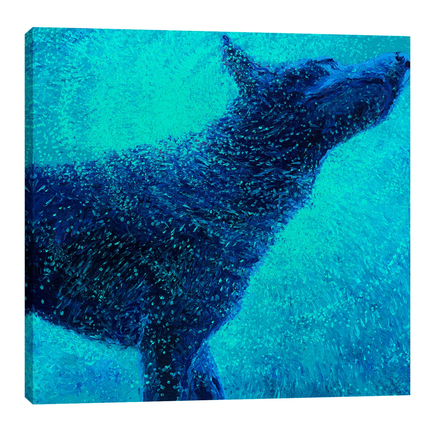 Iris-Scott,Modern & Contemporary,Animals,animals,animal,dogs,dog,wagging,shaking,water drops,blue,splatter,