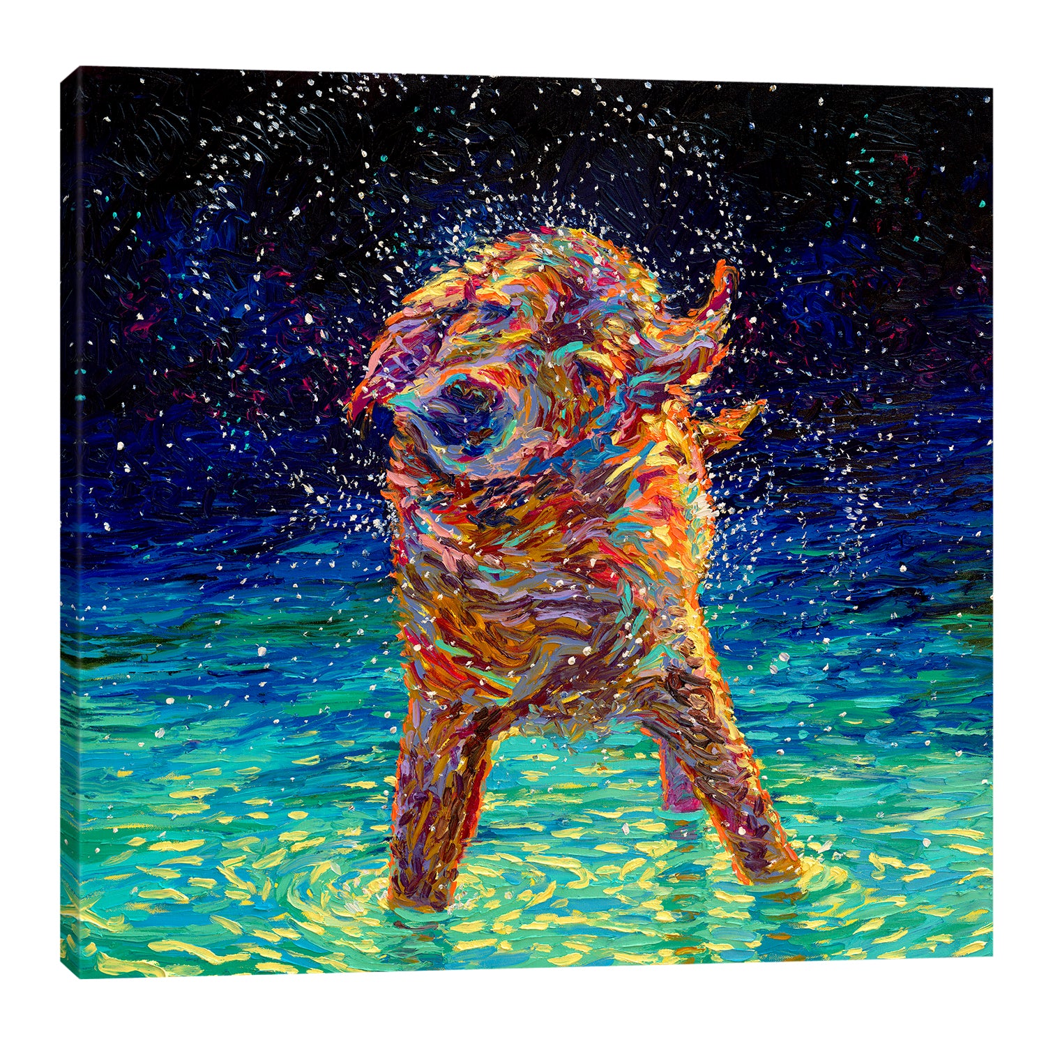 Iris-Scott,Modern & Contemporary,Animals,animals,animal,dogs,dog,wagging,shaking,water drops,teal,splatter,