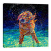 Iris-Scott,Modern & Contemporary,Animals,animals,animal,dogs,dog,wagging,shaking,water drops,teal,splatter,