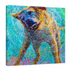 Iris-Scott,Modern & Contemporary,Animals,animal,dog,shakin,shaking dog,wet,splatter,sunset,