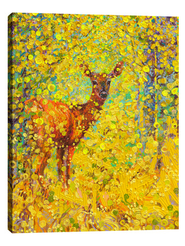 Iris-Scott,Modern & Contemporary,Animals,animals,deer,white tail deer,deers,animal,leaves,spots,
