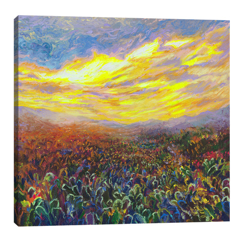 Iris-Scott,Modern & Contemporary,Landscape & Nature,clouds,suns,skies,florals,flowers,landscape,mountains,