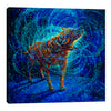 Iris-Scott,Modern & Contemporary,Animals,animals,animal,dogs,dog,wagging,shaking,water drops,blue,splatter,