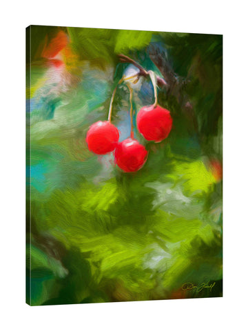 Don-Farrall,Modern & Contemporary,Food & Beverage,cherries,cherry,fruirs,fruit,red,brush strokes,Red,Black,Charcoal Gray,Blue,Tan Brown,Brown