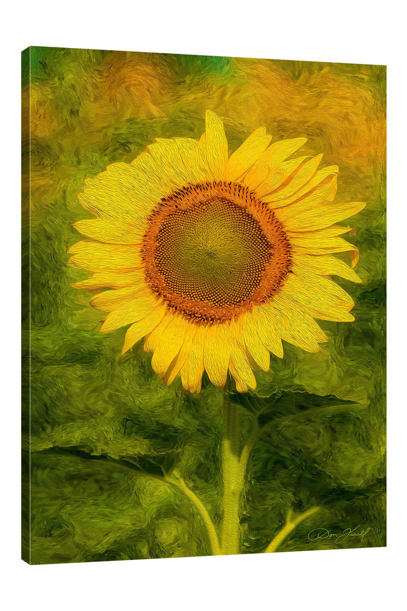 Don-Farrall,Modern & Contemporary,Floral & Botanical,sunflowers,sunflower,flowers,leaves,leaf,Blue,Gray,Sky Blue,Purple,Charcoal Gray,Black,White