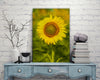 Don-Farrall,Modern & Contemporary,Floral & Botanical,sunflowers,sunflower,flowers,leaves,leaf,Blue,Gray,Sky Blue,Purple,Charcoal Gray,Black,White