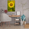Don-Farrall,Modern & Contemporary,Floral & Botanical,sunflowers,sunflower,flowers,leaves,leaf,Blue,Gray,Sky Blue,Purple,Charcoal Gray,Black,White