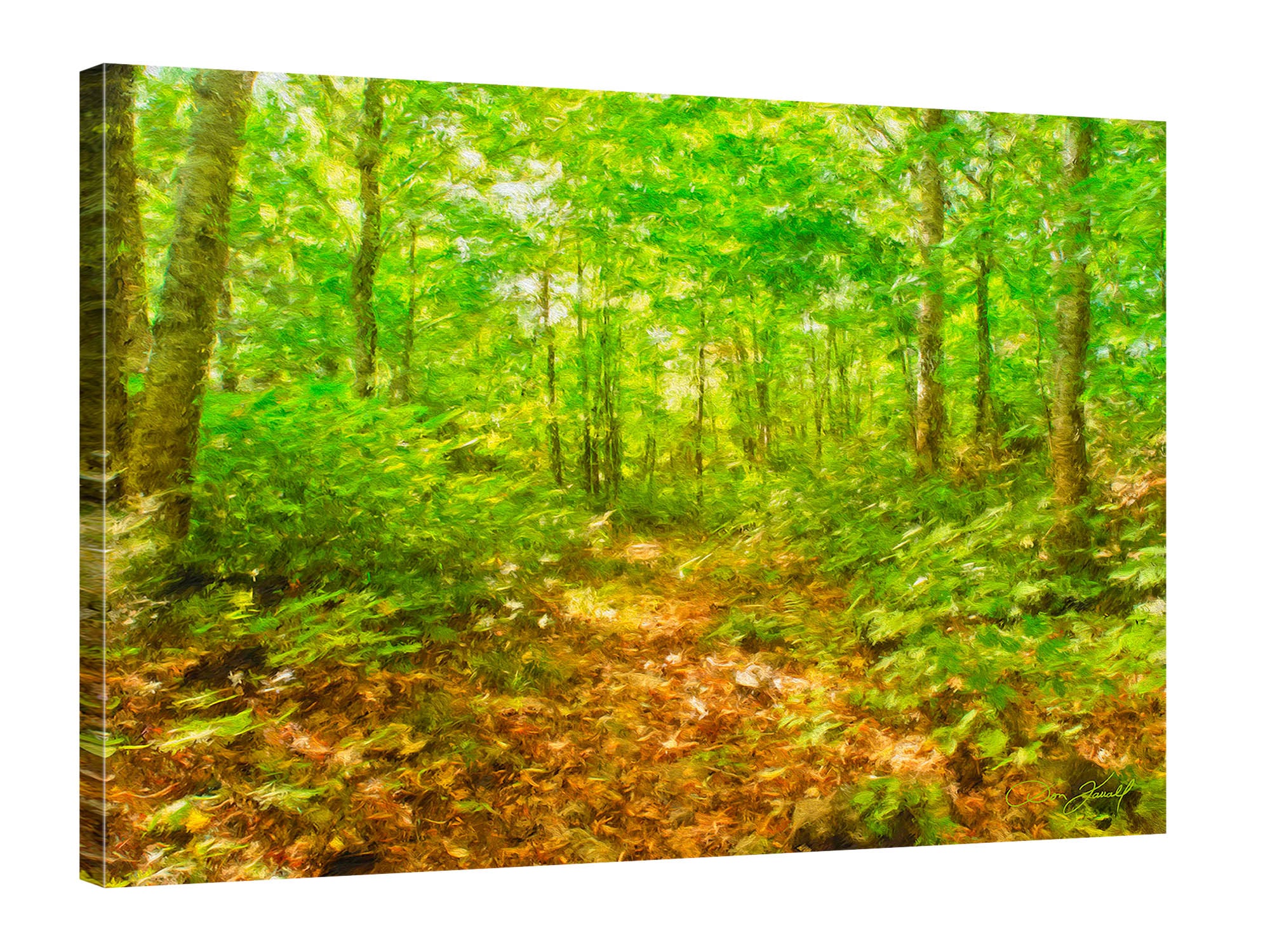 Wilderness Park