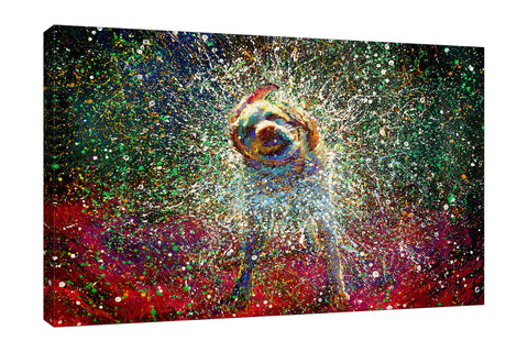 Iris-Scott,Modern & Contemporary,Animals,dog,paint,splatter,animals,