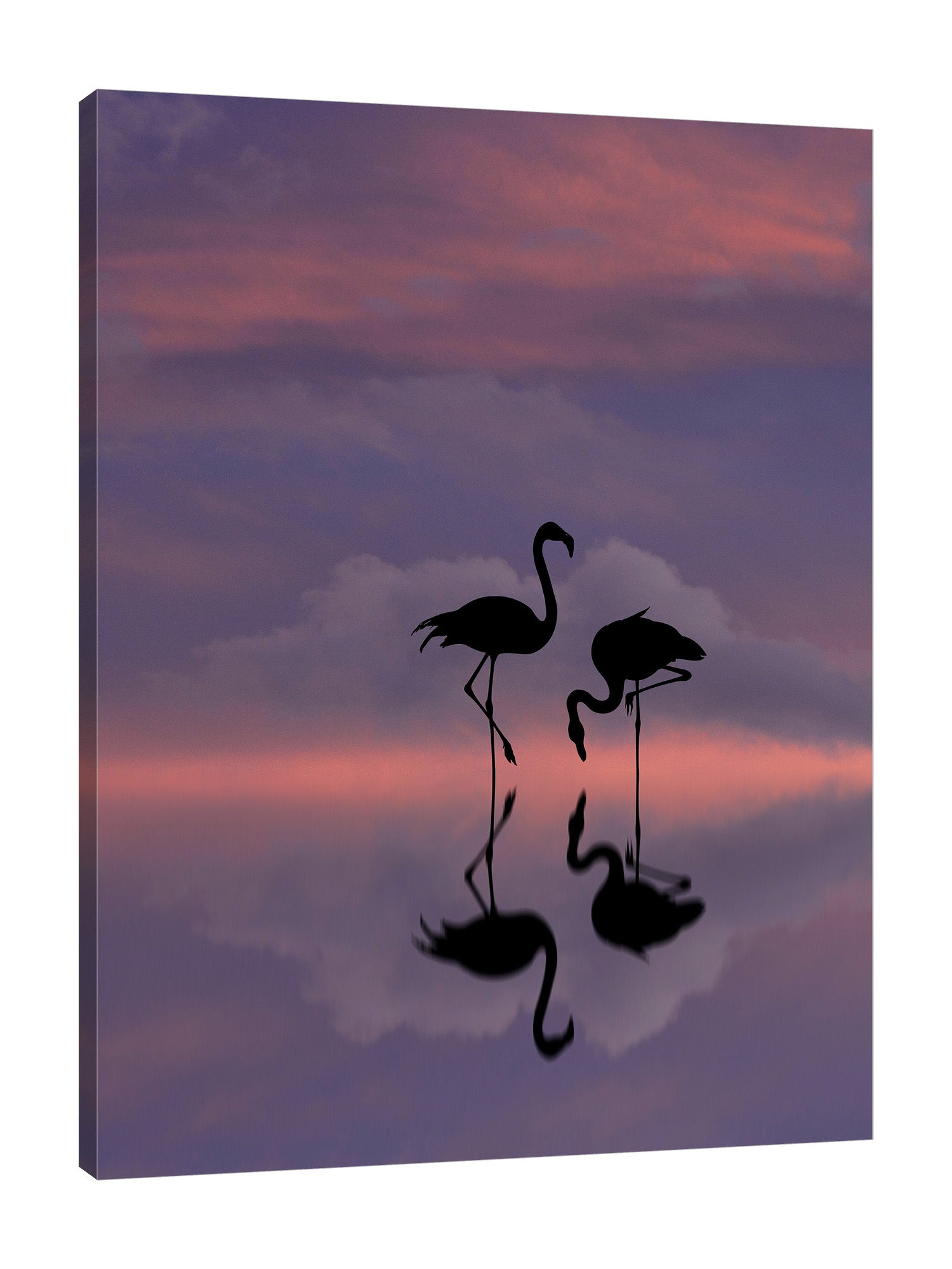 Dominic-Liam,Modern & Contemporary,Animals,silhoutte,flamingo,skies,clouds,Charcoal Gray,Red,Purple,Lime Green,Baby Blue,Black,Blue