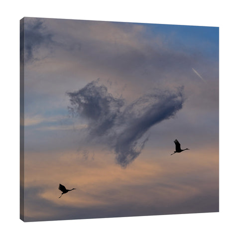 Dominic-Liam,Modern & Contemporary,Animals,skies,birds,clouds,animals,Charcoal Gray,Red,Slate Gray,Black,Purple,Blue
