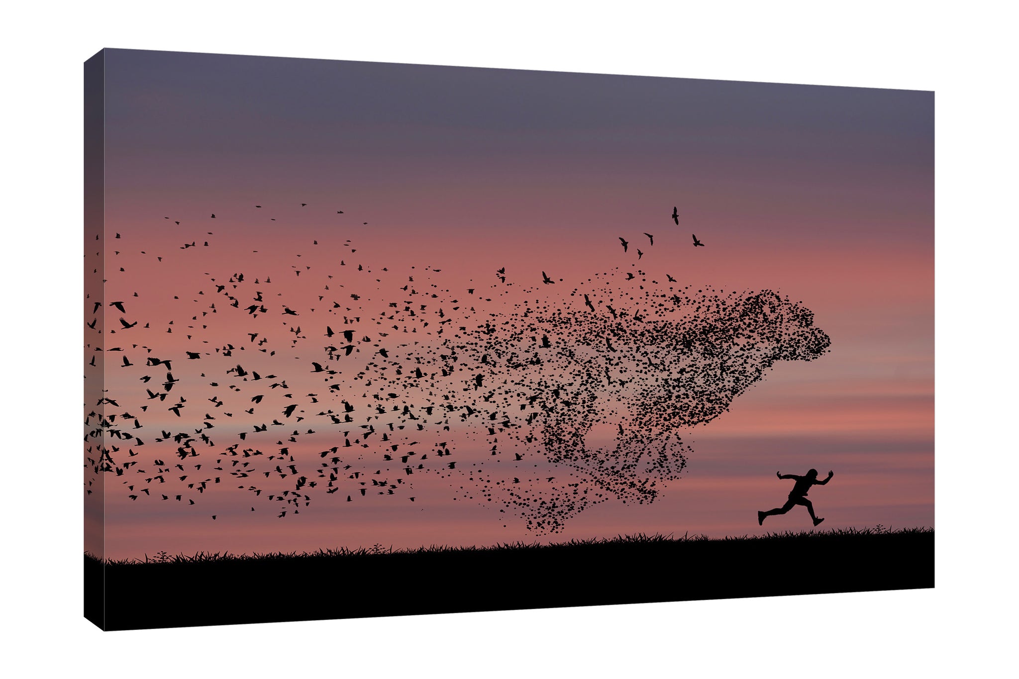 Dominic-Liam,Modern & Contemporary,Animals,birds,man,dog,silhouttes,Charcoal Gray,Gray,Black,Pale Green,Blue,White