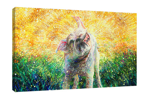 Iris-Scott,Modern & Contemporary,Animals,dogs,animals,dog,shake,splatters,