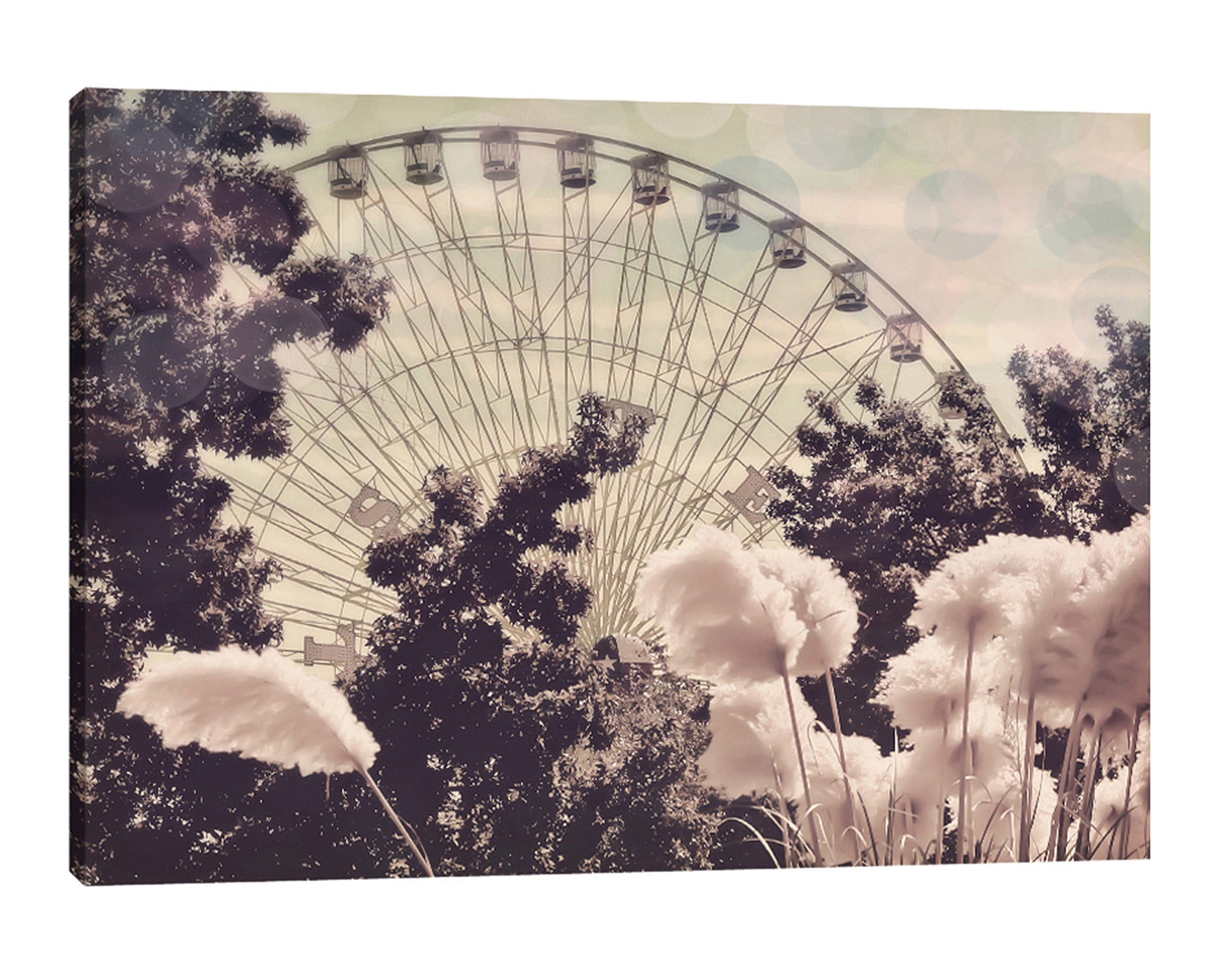 Ashley-Davis,Modern & Contemporary,Entertainment,Floral & Botanical,ferris wheel,carnival,carnival rides,trees,tree,feathers,skies,clouds,Charcoal Gray,Black,Mint Green,White,Gray