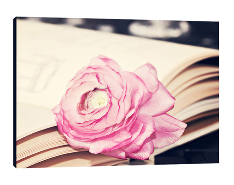 Ashley-Davis,Modern & Contemporary,Floral & Botanical,florals,flowers,books,close ups,book,flower,floral,ranuculus,Tan White,Mist Gray,Coral Pink,Steel Blue,Charcoal Gray,Black,White,Gray