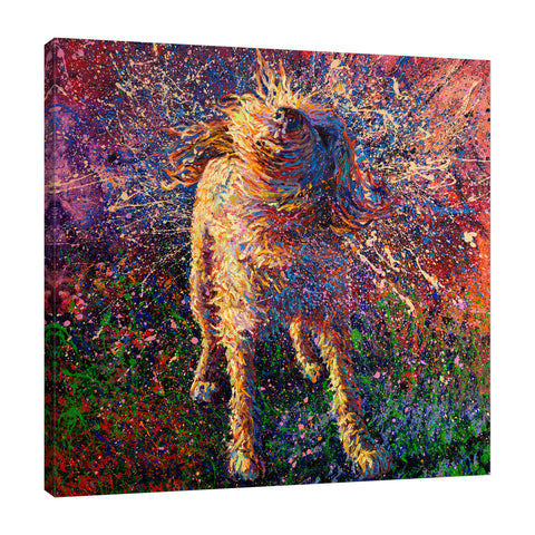 Iris-Scott,Modern & Contemporary,Animals,impressionism,animals,dog,shaking,splatters,