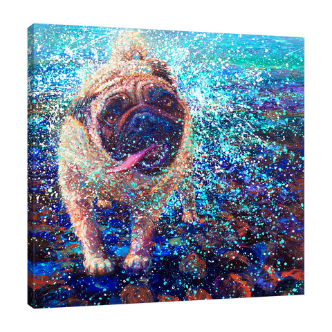 Iris-Scott,Modern & Contemporary,Animals,impressionism,animals,dog,shaking,splatters,