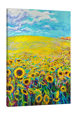 Iris-Scott,Modern & Contemporary,Floral & Botanical,florals,flowers,sunflowers,skies,clouds,botanical,